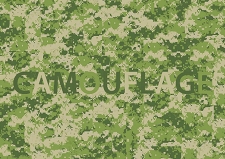 laurent_lacotte-camouflage