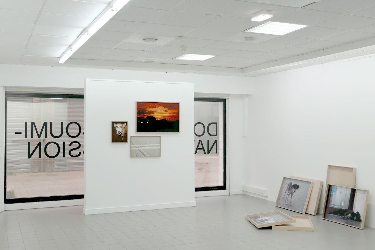 Laurent Lacotte, Dogs, Exposition, Chiens, Thierry Verbeke, Photography
