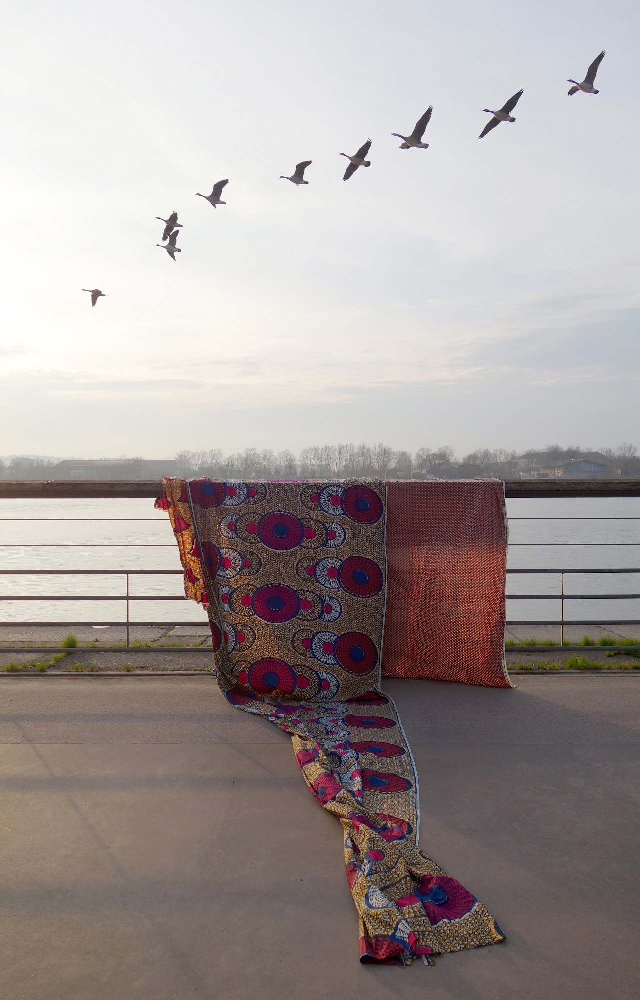 Laurent Lacotte, Geste, Photo, Wax, Oies Sauvages, Post-colonialisme, Voies